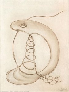 Morfologia — Leandre Cristòfol I Peralba