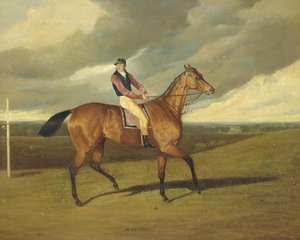Matilda With Jockey Up