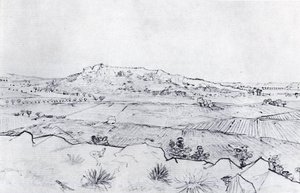 La Crau — Vincent Willem Van Gogh