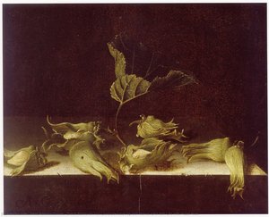 Dutch Stillleven van Lambertsnoten op een stenen tafel Still Life with Hazel Nuts