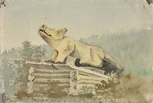Indian Grave. Wolf Totem Over Medicine Man Grave, Wrangell — Theodore J. Richardson