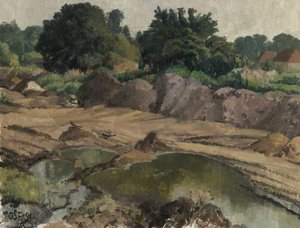 Wasteland with Magpies