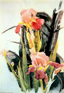 Flowers - Irises — Čarls Demut