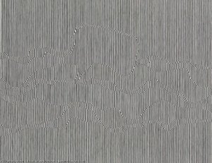 Determinative Focus — Polan Julian Stanczak