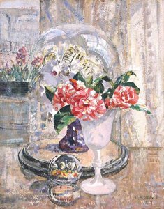 Striped Camellias