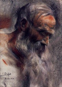 Study Of An Old Head — Ignacio Díaz Olano