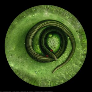 Coiled Snake Paperweight — Paul Ysart (scottish, B. Spain)