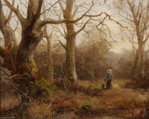 Woodland Scene