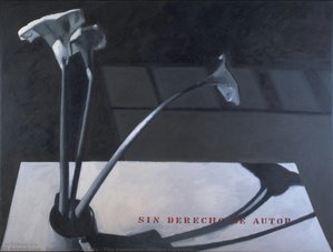 Title Translation: Without Copyright — Moisés Barrio Andrés