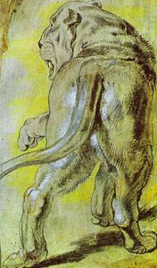 Lioness — Peter Paul Rubens, Flemish Baroque