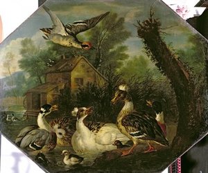 Ornamental Waterfowl And Their Ducklings On A Mill