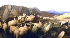 Gathering Flocks On The Grampian Hills — Richard Ansdell