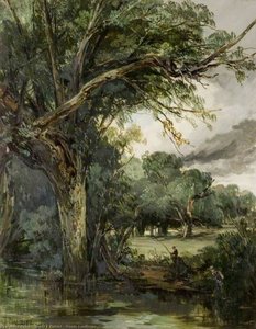 Woody Landscape — James B Dalziel