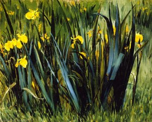Yellow Fleurs-de-Lis