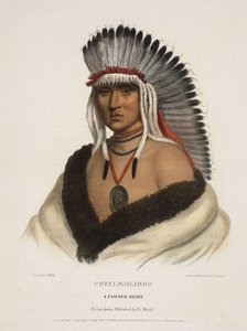 Petalesharoo, A Pawnee Brave — Charles Bird King