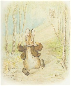 Benjamin Bunny 3a - (11x12) — Beatrix Potter