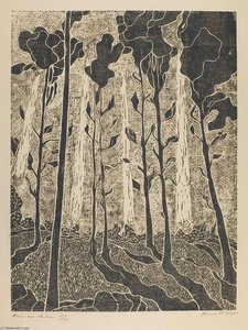 Trees And Shadows — Frank Mcclure
