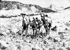 The Gold Bug — Frederic Remington