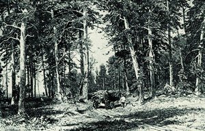 Forest — Ivan Ivanovich Shishkin