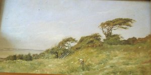 Arbres Couchés Dans Les Graves De Villerville — Jouanny Paul