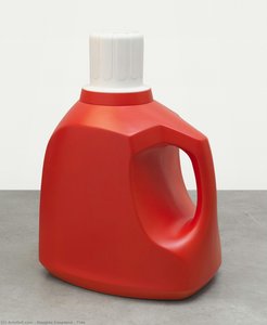 Tide — Douglas Coupland, Contemporary Realism