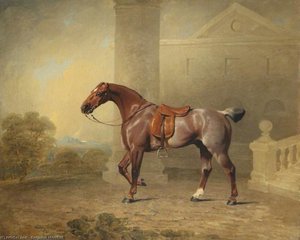 The Prince Of Wales's Favourite Roan Hack — Benjamin Marshall