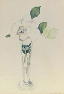 Rose In Vase — Charles Rettew Sheeler Junior