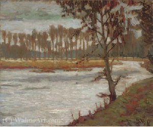 A row of poplar trees by the river