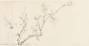 Bird On A Branch — Xie Zhiliu
