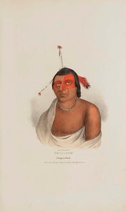 Pe A Jick A Chippewa Chief, From The Aboriginal Portfolio — James Otto Lewis