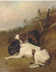 English Pointers — Colin Graeme Roe