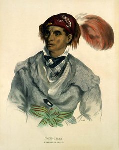 Tah-chee, A Cherokee Chief — Charles Bird King