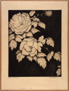 Japanese Peonies