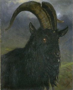 Tête de bouc