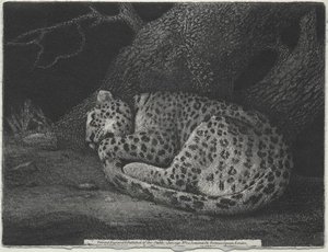 A Sleeping Leopard — George Stubbs