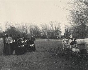 Field Work In Sketching (agriculture Work) — Frances Benjamin Johnston