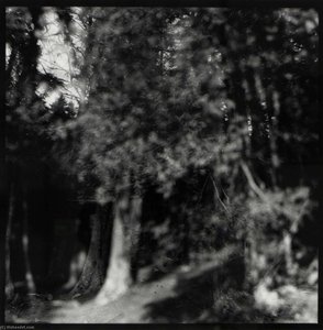 Mt. Desert Island, Maine — Edward Hill
