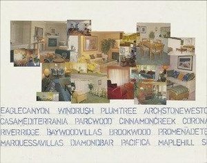 La Suburbs (1) — Monica Bonvicini