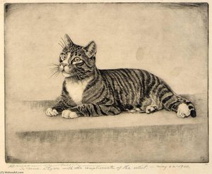 Tabby Cat — Benson B Moore