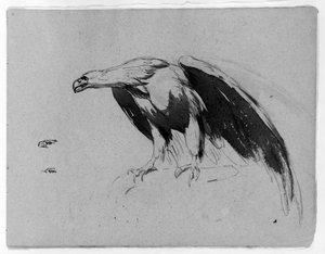 Eagle — Thomas Sully