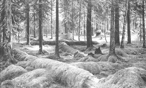 Woodland Cemetery — Ivan Ivanovich Shishkin