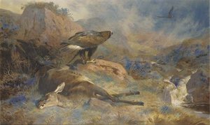 The Lost Hind — Archibald Thorburn