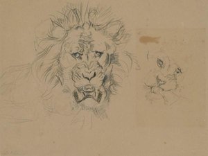 Two Studies Of The Head Of A Lion — John Frederick Lewis