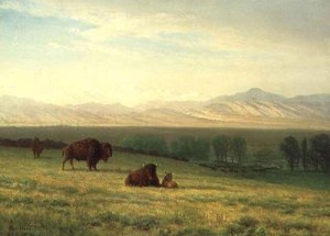 Buffalo On The Plains — Albert Bierstadt, Hudson River School