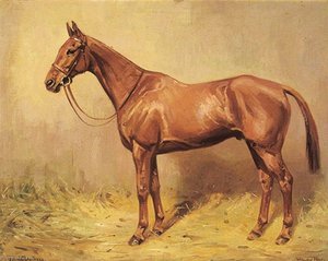 Horse Portrait, 'willow Holt' — Alfred Grenfell Haigh