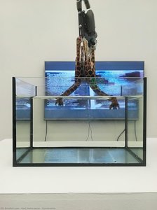 Constraints — Karl Heinz Jeron
