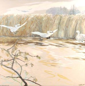 Swans Landing