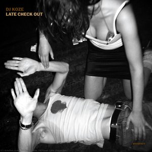 Dj Koze: Late Check Out — Stefan Kozalla