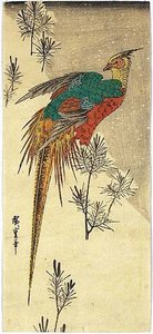 Pheasant Among Young Pine On A Hill In Snow — Ando Hiroshige