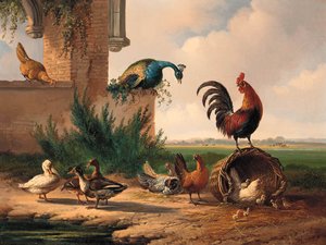 Peacock, Rooster, Chickens And Ducks By A Ruin — Albertus Verhoesen